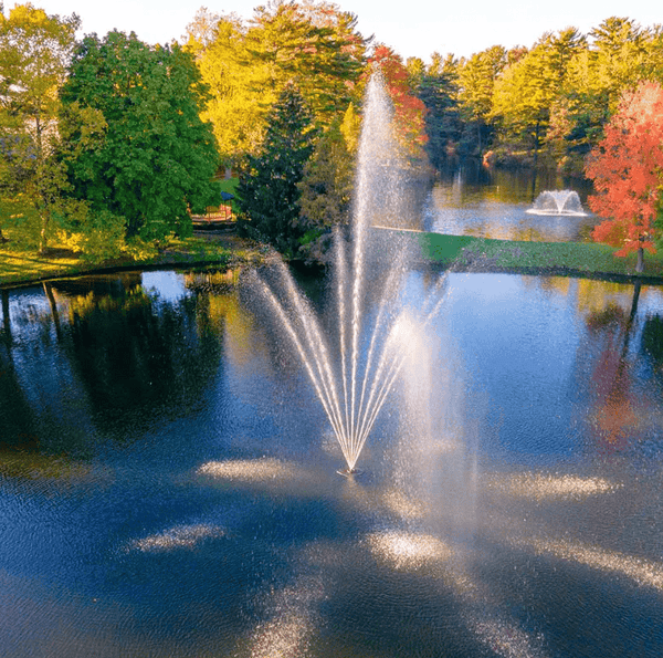 What Size Fountain for My Pond