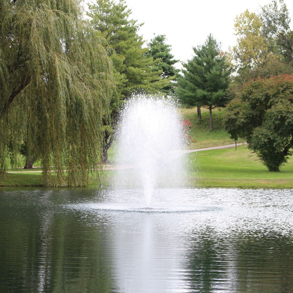 Kasco J Series Fountain With Birch Spray Pattern