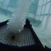 Thumbnail for Vanguard Hydro Torque Solar Series Aeration System Diffuser Bubbler Under Water