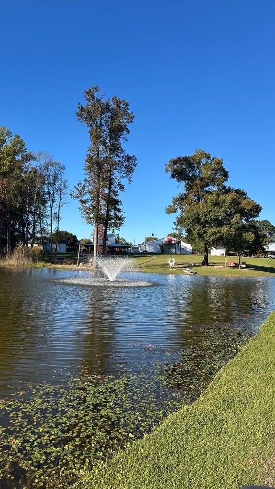 Pond fountain beside tall trees on a clear blue day