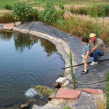 How to Stop a Leaking Pond: Everything You Need To Know