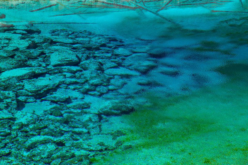 Pond Dye Colors: Expert Guide