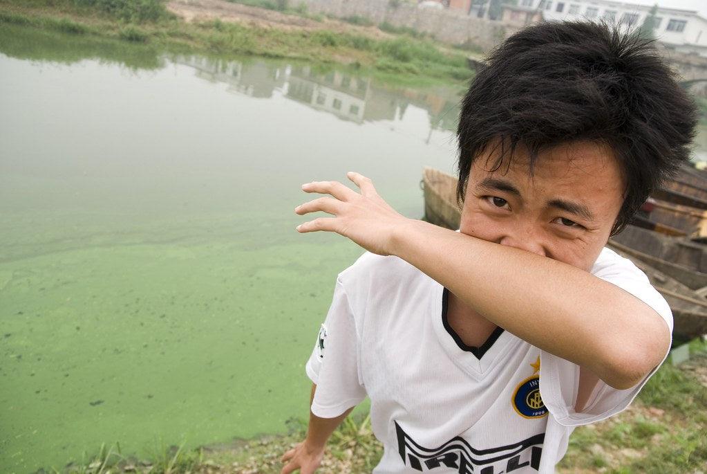 How to Get Rid of Pond Smell