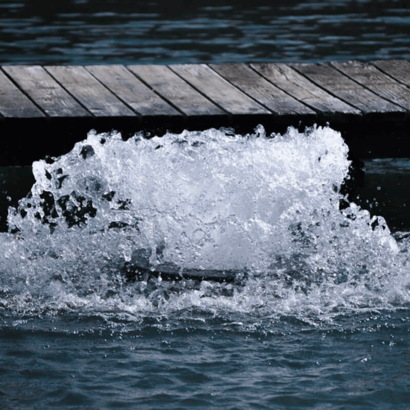 Do Pond Aerators Really Work