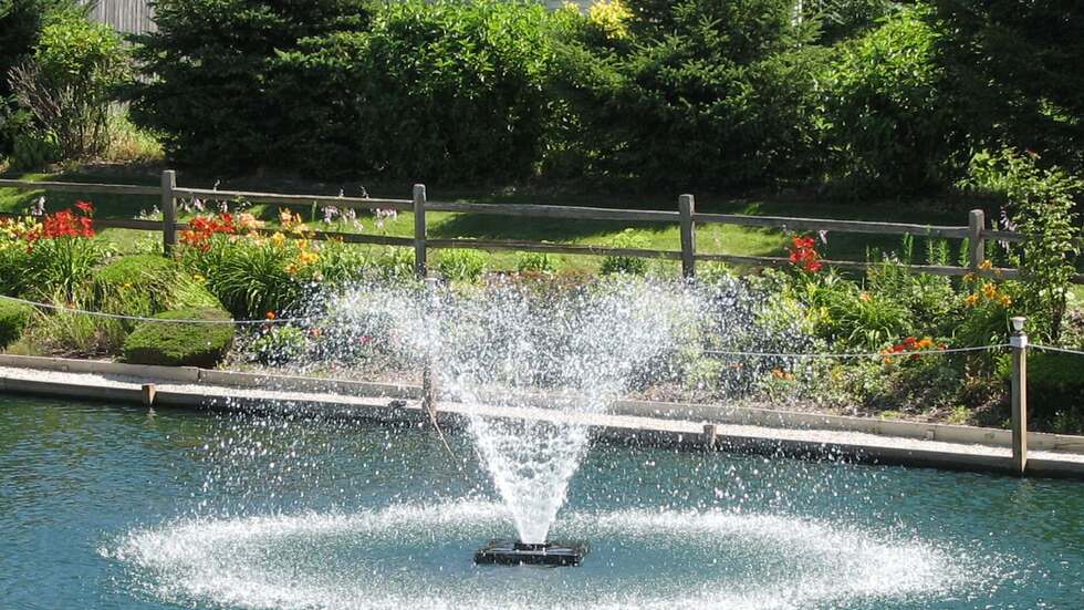 Compact aerating fountain in a landscaped backyard pond beside a wooden fence.