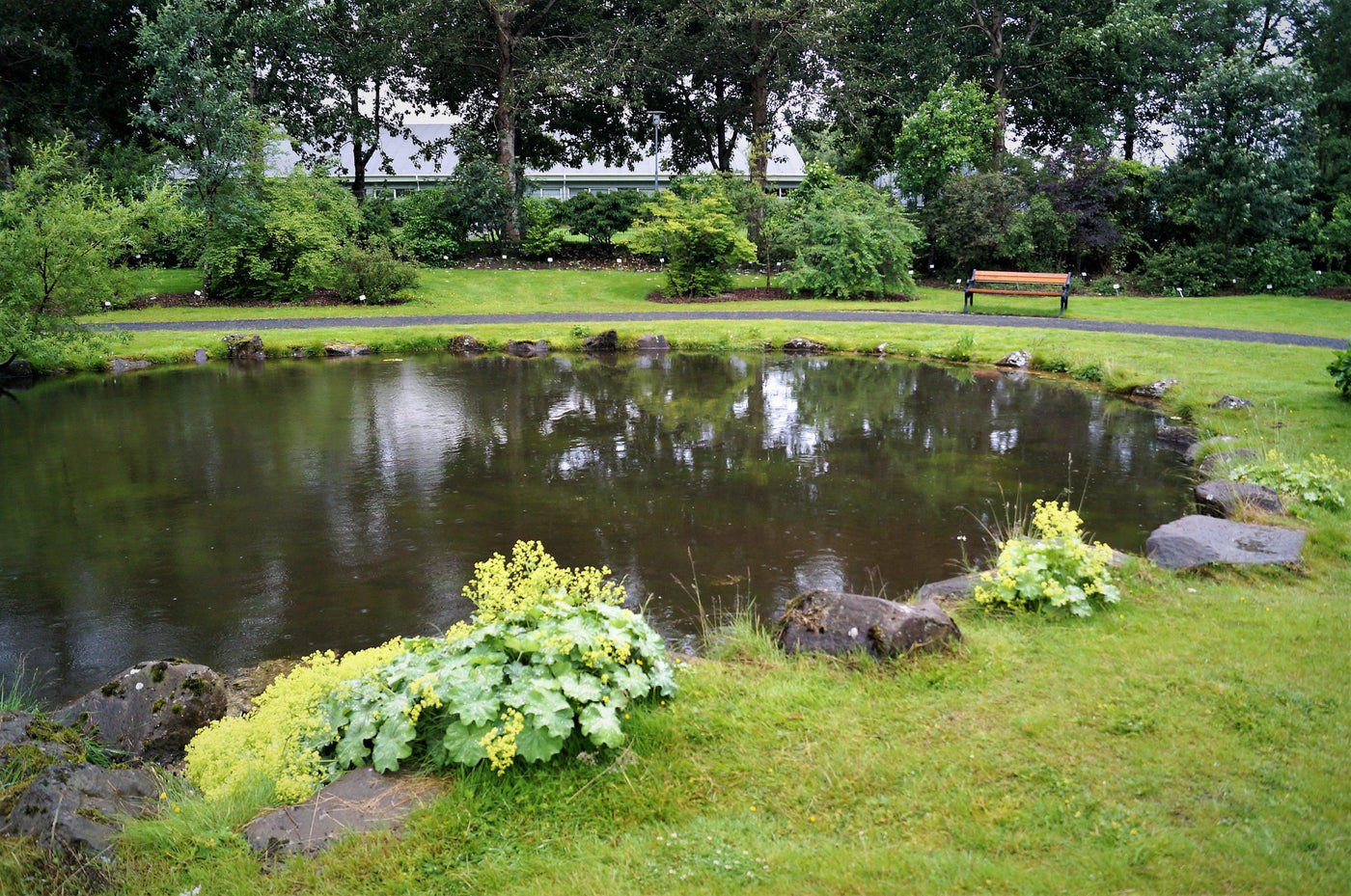 How To Build A Pond