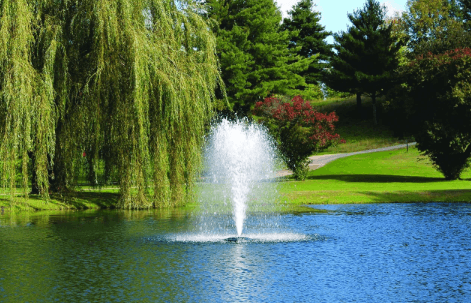 How to Run a Pond Fountain in Winter with a Heater