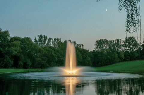Why Are Pond Fountains So Expensive