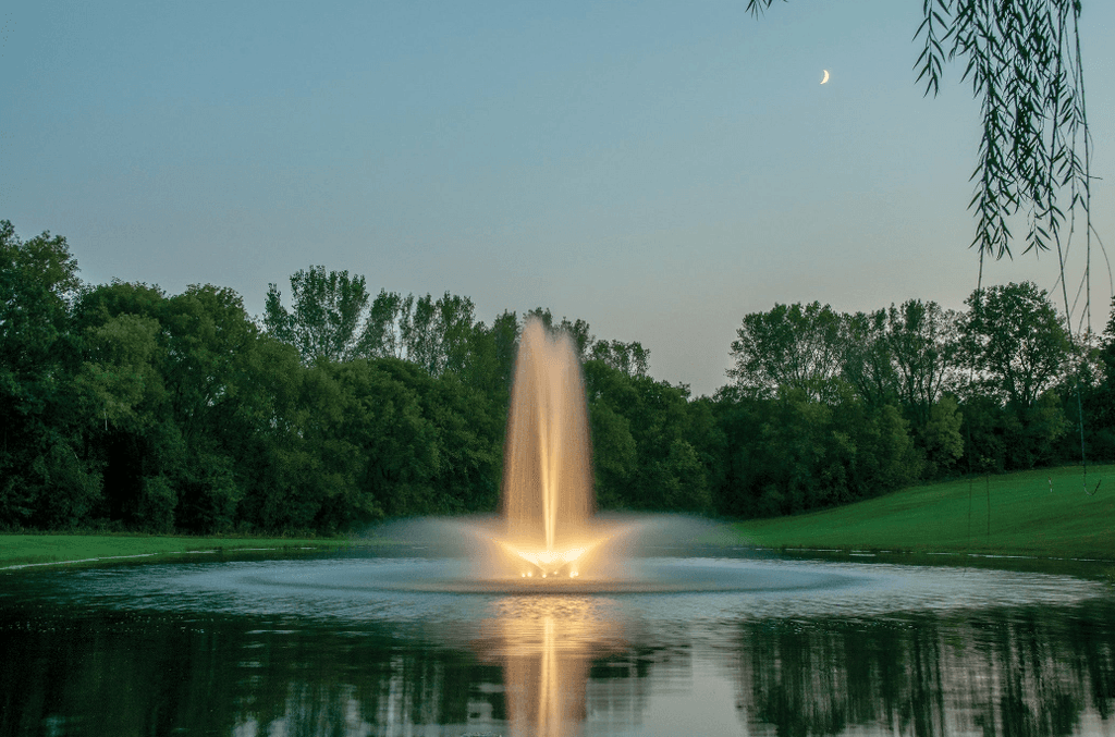 Why Are Pond Fountains So Expensive