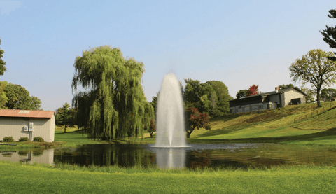 How Deep Does A Pond Have To Be For A Fountain: Essential Guidelines