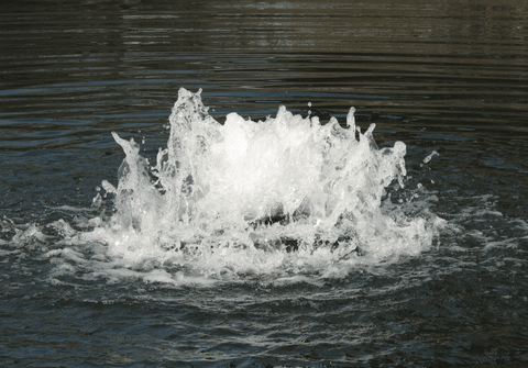 How To Aerate A Pond
