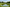 What Is a Pond? Explained