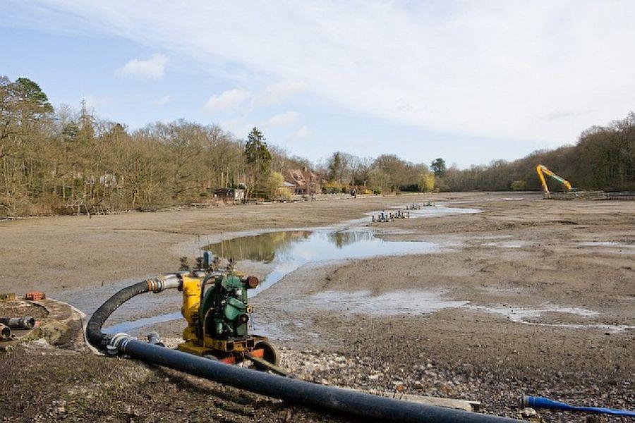 How To Drain A Pond Efficiently: Step-by-Step Guide