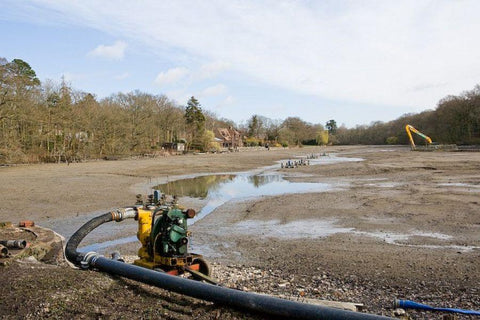 How To Drain A Pond Efficiently: Step-by-Step Guide