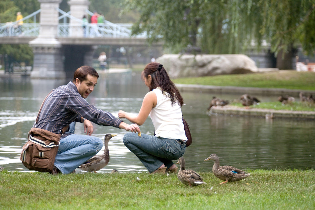 Couple feeding ducks