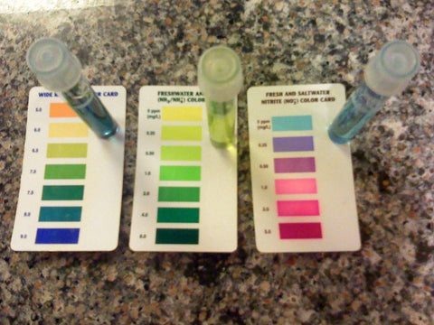 How To Lower PH In A Pond