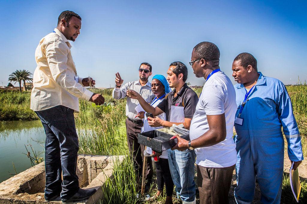 How to Test Pond Water