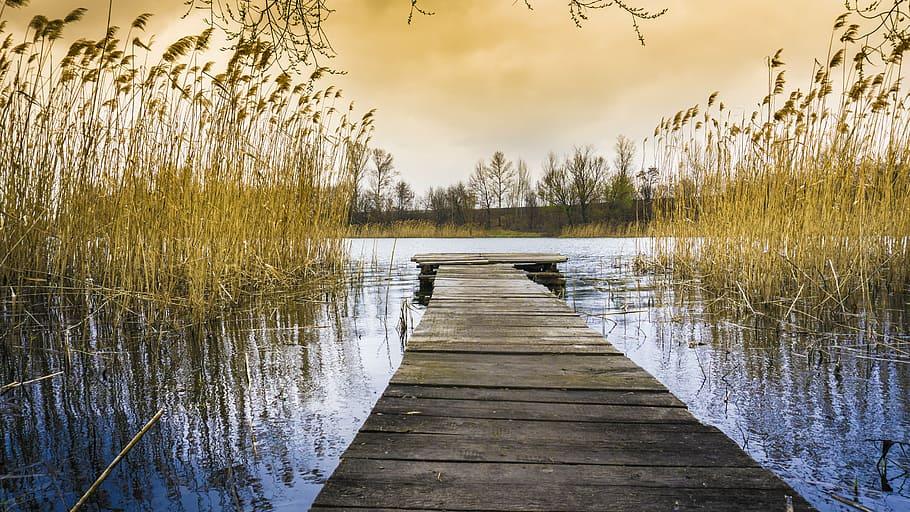 How To Build A Dock On A Pond