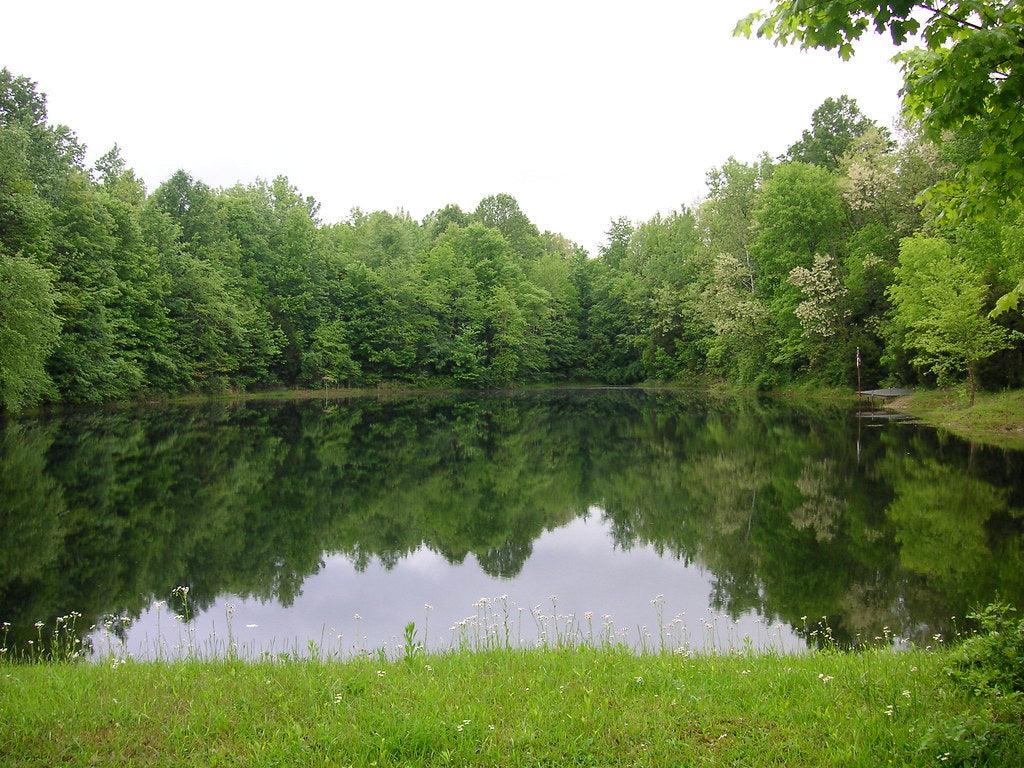 What Is A Pond