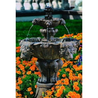 collection-image