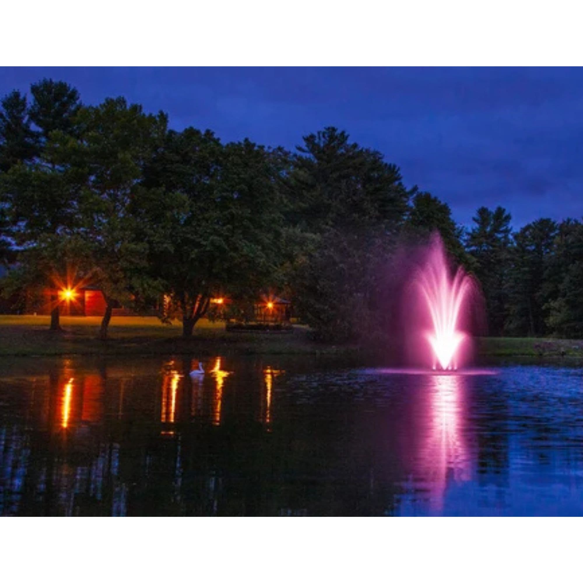 Scott 14-Color-Changing LED Light Set With Scenic Landscape View Surrounded By Big Trees