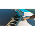 Thumbnail for Spinera Aquapark Trampoline - The 