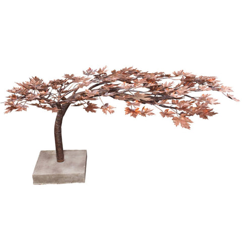 30 Copper Creeping Japanese Maple Tree Garden Fountain In White Background