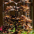 Thumbnail for 40 Copper Sequoia Tree Garden Fountain Close-up Of Leaves