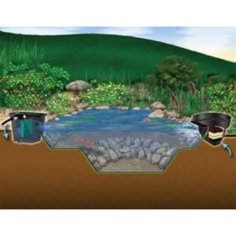 8x11 Small Pond Kit Cross Sectional Diagram With Waterflow and Fish
