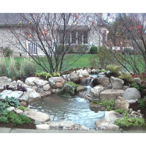 8x11 Small Pond Kit With Rocks and Dry Trees