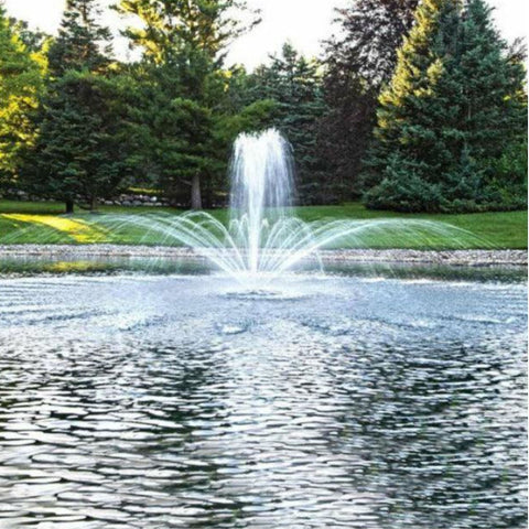 Airmax EcoSeries Half HP Pond Fountain With Trees In Background