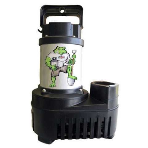 Anjon Big Frog Eco Drive Pumps Plain White Background  3000-6500 Variants