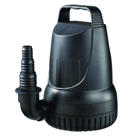 Anjon Flood Pumps Plain White Background