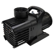 Anjon Monsoon Pond Pumps Plain White Background Variant 2000-12500