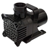Anjon Monsoon Pond Pumps Plain White Background Variant 550-1600