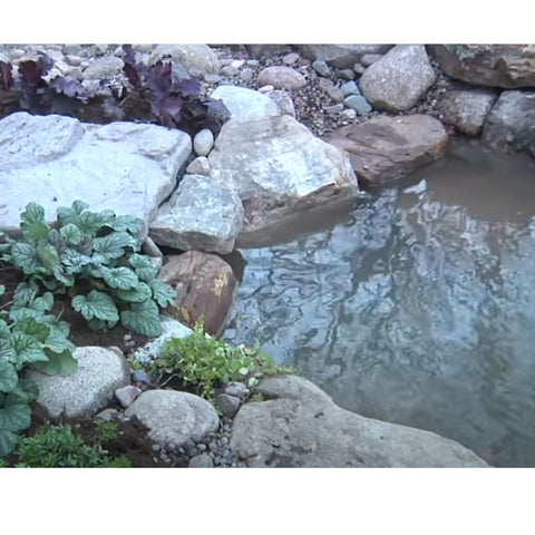 Aquascape Medium Pond Kit Natural Pond Edge With Rocks And Green Plants