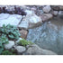 Thumbnail for Aquascape Medium Pond Kit Natural Pond Edge With Rocks And Green Plants
