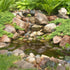 Thumbnail for Aquascape Small Pond Kit 8x11 With Rocks And Ferns