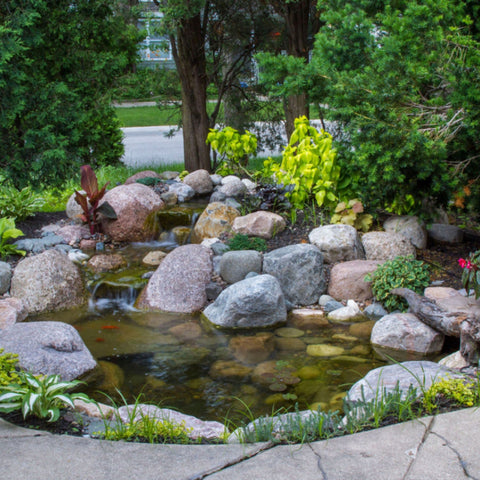 Aquascape Small Pond Kit Lush Backyard Pond With Rocks And Green Plants