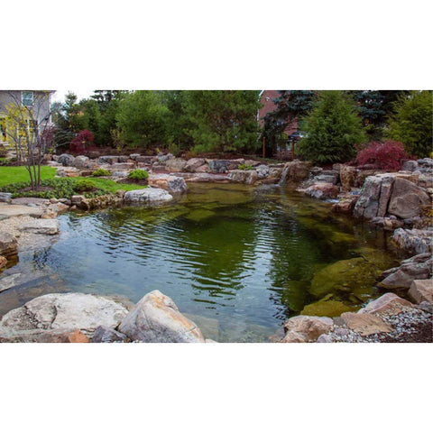 Aquascape Swimming Pond Kit 19x24 With Rocks And Green Trees