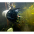 Thumbnail for AquatiClear By Kasco Underwater View With Green Leaves In Front