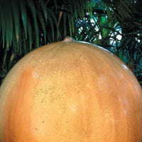Thumbnail for Ball And Ring Base Garden Water Fountain By Gist Close-up View With Green Plants Background