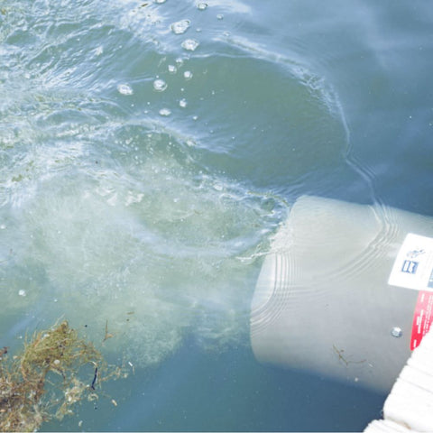 Bearon Aquatic Weeds Away In The Water Close Up