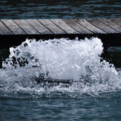 Bearon Aquatics Power House Surface Aerator On The Water Bubbling In Front Of A Pier