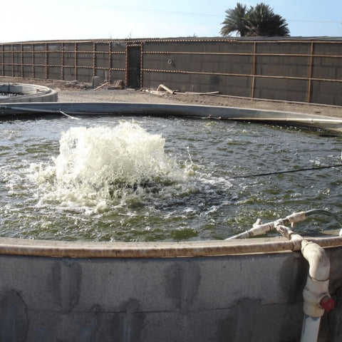 Bearon Aquatics Power House Surface Aerator On The Water In A Fish Tank