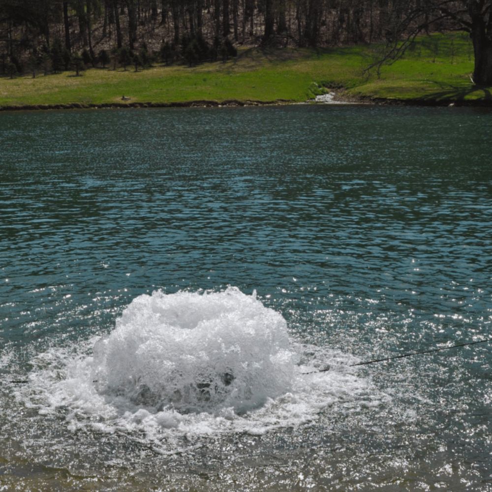 Bearon Aquatics Power House Surface Aerator On The Water With Trees In The Background