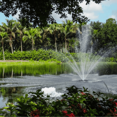 Bearon Aquatics Olympus Fountain