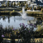 Bearon Aquatics Olympus Fountain