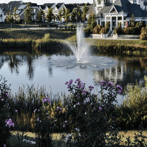 Bearon Aquatics Olympus Fountain