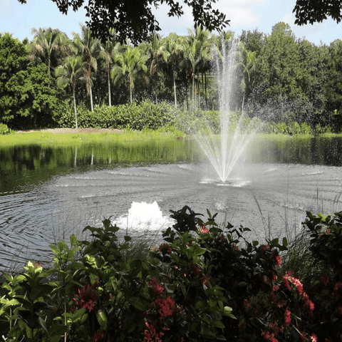 Bearon Aquatics Olympus Fountain